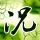 原版科罗拉多技术学院学位证【degxx.com】